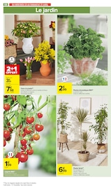Plante Verte Angebote im Prospekt "LES JOURNÉES BELLES ET REBELLES" von Carrefour Market auf Seite 72