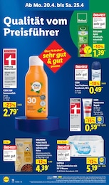 Lidl Hundefutter im Prospekt 