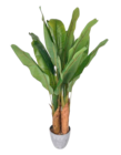 Künstliche Pflanze von HOME CREATION für 19,99 € bei ALDI SÜD im Angebot Künstliche Pflanze von HOME CREATION im aktuellen ALDI SÜD Prospekt