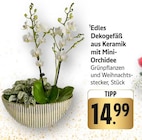 EDEKA Weinheim Prospekt mit  im Angebot für 14,99 €