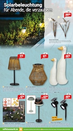 Aktueller Raiffeisenmarkt Prospekt mit Kerzen, "So wird draußen zum Lieblingsort.", Seite 11