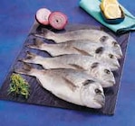 Daurade Royale - Super U à Saint-Herblain Daurade Royale en promo chez Super U Saint-Herblain à 8,95 €