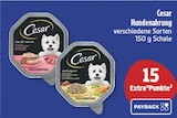 Hundenahrung von Cesar im aktuellen diska Prospekt für 