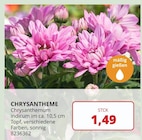 Angebot im BBM Baumarkt Barsinghausen Prospekt BBM Baumarkt Barsinghausen Prospekt mit im Angebot für 1,49 €