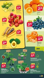 Mixer Angebot im Netto mit dem Scottie Prospekt, gültig von 07.04.2026 bis 11.04.2026 Mixer Angebot im aktuellen Netto mit dem Scottie Prospekt auf Seite 3