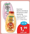 Wahre Schätze Shampoo bei budni im Prospekt "" für 1,99 €