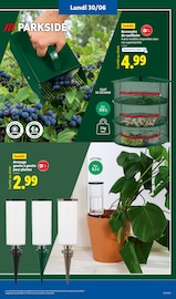 Plante Verte Angebote im Prospekt "Le vrai prix des bonnes choses" von Lidl Plante Verte Angebote im Prospekt "Le vrai prix des bonnes choses" von Lidl auf Seite 21