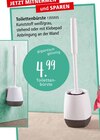 Aktuelles Toilettenbürste Angebot bei Zurbrüggen in Bremen ab 4,99 €