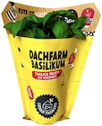 Basilikum im Angebot bei REWE in Hanau Basilikum Angebote von Dachfarm bei REWE Hanau für 2,29 €