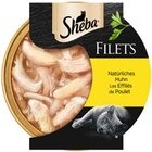 Filets im Angebot bei REWE in Bremen Filets Angebote von Sheba bei REWE Bremen für 0,99 €