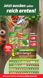 Thomas Philipps Saatgut im Prospekt 