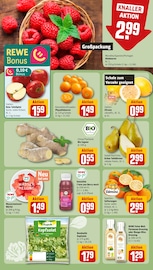 Ähnliche Granatapfel Angebote im Prospekt "Dein Markt" von REWE in Gelsenkirchen Ähnliche Angebote wie Granatapfel im Prospekt "Dein Markt" auf Seite 8 von REWE in Gelsenkirchen