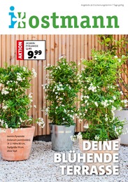 Aktueller Blumen Ostmann Prospekt, "DEINE BLÜHENDE TERRASSE", mit Angeboten der Woche, gültig von 26.04.2024 bis 26.04.2024