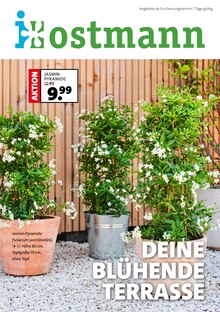 Blumen Ostmann Prospekt DEINE BLÜHENDE TERRASSE mit  Seiten in Friesoythe und Umgebung