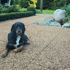 Waschbetonplatte Angebote bei Hagebaumarkt Pinneberg für 3,49 €