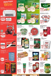 Grillkohle im GLOBUS Prospekt in Amberg Aktueller GLOBUS Prospekt mit Grillkohle, "Aktuelle Angebote", Seite 4