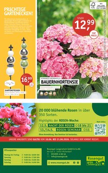 Hortensie im aktuellen ROSENGUT Langerwisch Prospekt (Potsdam) Hortensie im ROSENGUT Langerwisch Prospekt "BLĂTENREICH!" mit 12 Seiten (Potsdam)