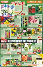 Grablicht Angebot & Preis im aktuellen Norma Prospekt Grablicht Angebot im aktuellen Norma Prospekt auf Seite 14