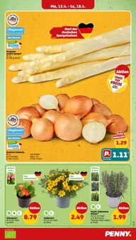 Gemüse im Penny Prospekt "Wer günstig will, muss Penny." mit 36 Seiten (Würzburg)