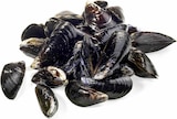 Aktuelles Frische Föhrer-Muscheln Angebot bei E center in Mainz ab 5,90 €