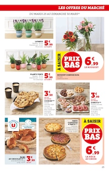 Promo Plante Verte dans le catalogue Super U du moment à la page 25