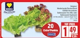 EDEKA Zühlsdorf - Ballensalat Trio-Mix oder Ballensalat Kopfsalat Angebot im Prospekt Ballensalat Trio-Mix oder Ballensalat Kopfsalat bei EDEKA im Zühlsdorf Prospekt für 1,49 €