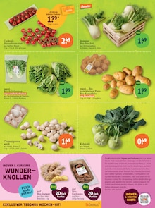 Kohlrabi im tegut Prospekt "tegut… gute Lebensmittel" mit 27 Seiten (Stuttgart)