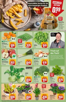 Äpfel im REWE Prospekt "Dein Markt" mit 30 Seiten (Mönchengladbach)