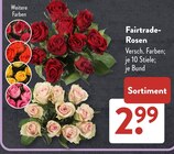 Fairtrade-Rosen im aktuellen ALDI SÜD Prospekt