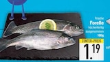 Frische Forelle im EDEKA Prospekt Frische Forelle von im aktuellen EDEKA Prospekt für 1,19 €