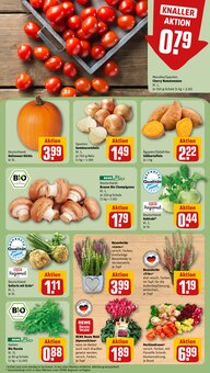 Alpenveilchen im aktuellen REWE Prospekt (München) Alpenveilchen im REWE Prospekt "Dein Markt" mit 31 Seiten (München)