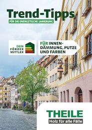 Holz-Zentrum Theile Prospekt "Trend-Tipps FÜR DIE ENERGETISCHE SANIERUNG" für Doberlug-Kirchhain, 7 Seiten, 01.11.2024 - 10.11.2024