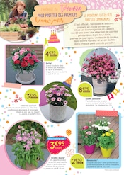 Valise Angebote im Prospekt "20 ANS DE PASSION VÉGÉTALE" von Les Compagnons des saisons Valise Angebote im Prospekt "20 ANS DE PASSION VÉGÉTALE" von Les Compagnons des saisons auf Seite 2