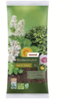 Rindenmulch im Angebot bei toom Baumarkt in Mainz Rindenmulch Angebote bei toom Baumarkt Mainz für 6,99 €