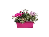 Promo Composition d'automne à 16,99 € dans le catalogue Gamm vert à Avesnes-sur-Helpe