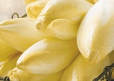 Promo Endive à 1,89 € dans le catalogue Intermarché à Le Monastier-sur-Gazeille