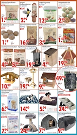 Ähnliche Angebote wie Gartenzwerg im Prospekt "DEIN SAISON- & SONDERPOSTENMARKT!" auf Seite 16 von Wreesmann in Görlitz