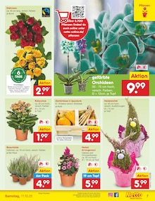 Pflanzen im Netto Marken-Discount Prospekt "Aktuelle Angebote" mit 59 Seiten (Halle (Saale))