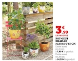 Pot Oeuf Émaillé Fleuri Ø 15 cm en promo chez Super U Pot Oeuf Émaillé Fleuri Ø 15 cm dans le catalogue Super U