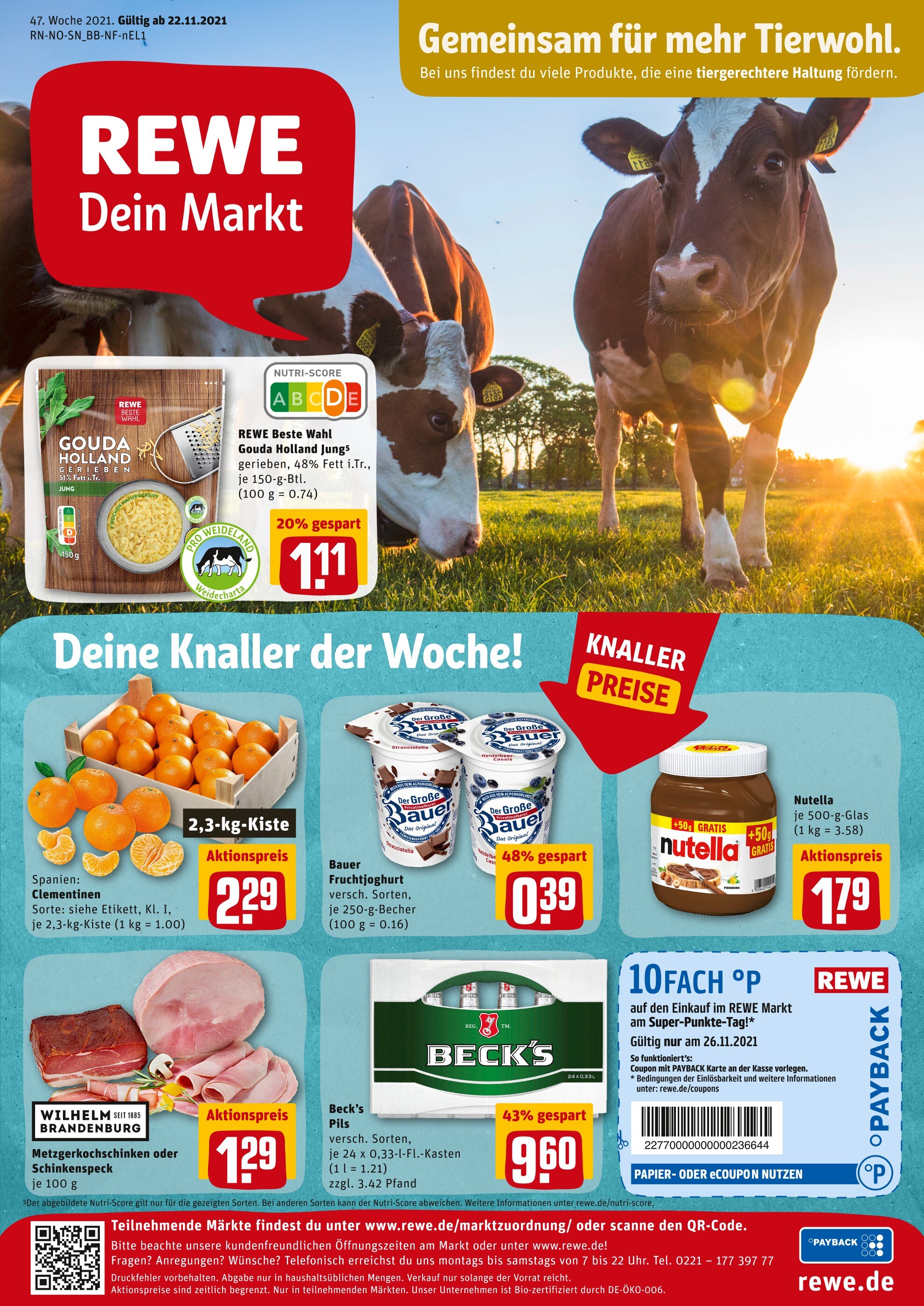 REWE Prospekt für Bodenwerder mit 25 Seiten REWE Prospekt für Bodenwerder: "Angebote im Markt", 25 Seiten, 22.11.2021 - 27.11.2021