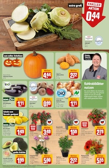 Blumen im aktuellen REWE Prospekt (Nürnberg) Blumen im REWE Prospekt "Dein Markt" mit 34 Seiten (Nürnberg)