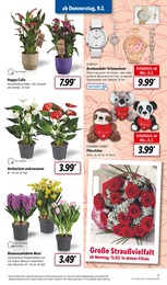 Kinderspielzeug Angebot & Preis im aktuellen Lidl Prospekt Kinderspielzeug Angebot im aktuellen Lidl Prospekt auf Seite 7