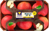 EDEKA Stavenhagen - Tafeläpfel Magic Star Angebot im Prospekt Tafeläpfel Magic Star bei EDEKA im Stavenhagen Prospekt für 2,49 €