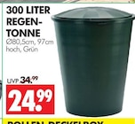 Regen-Tonne Angebot in Saalfeld Regen-Tonne im aktuellen Prospekt bei Wreesmann in Saalfeld