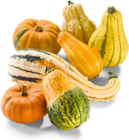 Zierkürbisse im Angebot bei Netto Marken-Discount in Recklinghausen Zierkürbisse Angebote bei Netto Marken-Discount Recklinghausen für 3,99 €