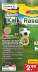 Rasenkalk im aktuellen Netto Marken-Discount Prospekt