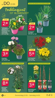 Rapsöl Angebot im Netto mit dem Scottie Prospekt, gültig von 09.03.2026 bis 14.03.2026 Rapsöl Angebot im aktuellen Netto mit dem Scottie Prospekt auf Seite 36