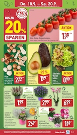 Pflanzen im ALDI Nord Prospekt in Pirna Aktueller ALDI Nord Prospekt mit Pflanzen, "Aktuelle Angebote", Seite 29