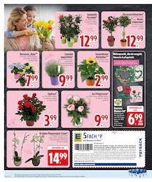Topfrosen Angebot im aktuellen EDEKA Prospekt auf Seite 8