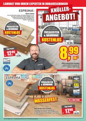 Laminat im Schaub Vertriebs GmbH Prospekt in Villingen-Schwenningen Aktueller Schaub Vertriebs GmbH Prospekt mit Laminat, "FRÜHLINGS TRENDS ZUM KNÜLLER-PREIS!", Seite 6